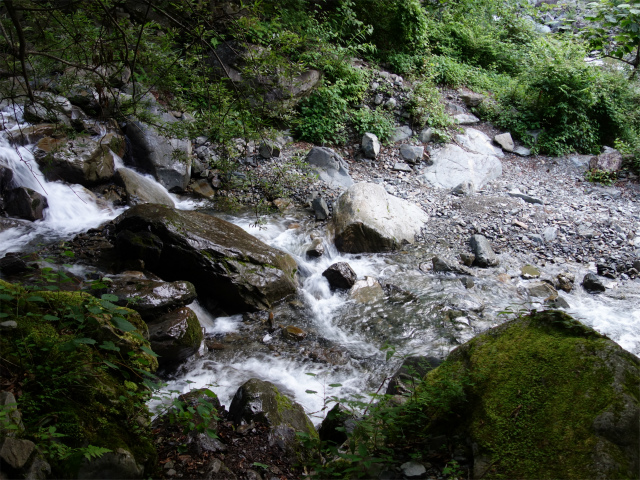 農鳥岳（奈良田～大門沢～西農鳥岳）登山口コースガイド 広河内支流の渡渉【登山口ナビ】