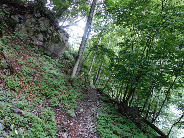 農鳥岳（奈良田～大門沢～西農鳥岳）登山口コースガイド 広河内高巻き【登山口ナビ】