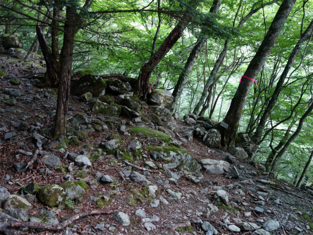 農鳥岳（奈良田～大門沢～西農鳥岳）登山口コースガイド 広河内高巻き【登山口ナビ】