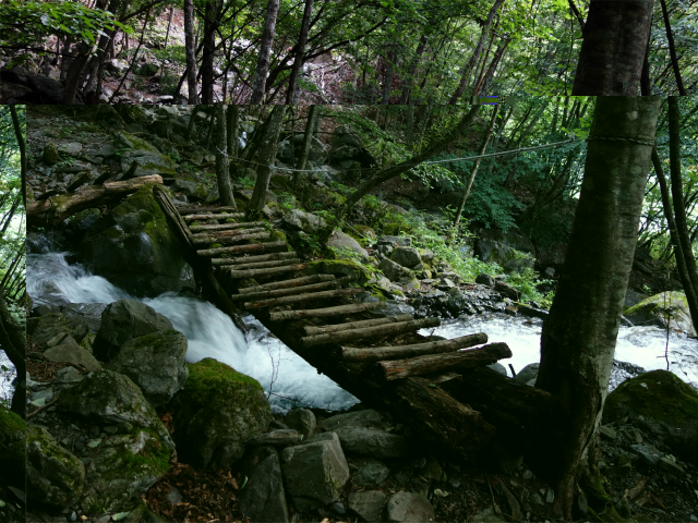 農鳥岳（奈良田～大門沢～西農鳥岳）登山口コースガイド 大古森沢の木橋【登山口ナビ】