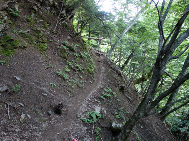 農鳥岳（奈良田～大門沢～西農鳥岳）登山口コースガイド 急登【登山口ナビ】