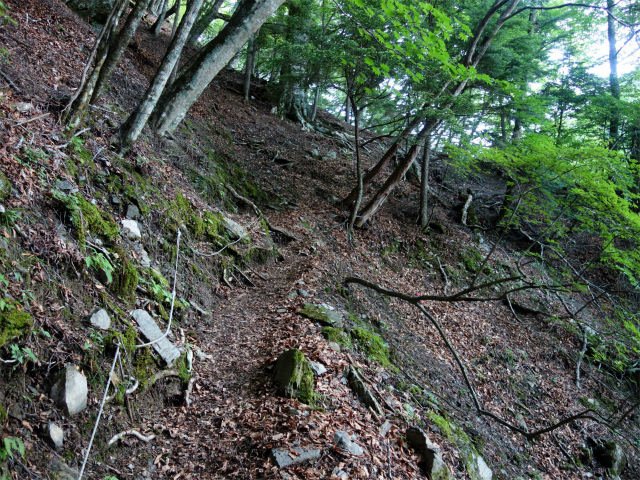 農鳥岳（奈良田～大門沢～西農鳥岳）登山口コースガイド トラバース【登山口ナビ】