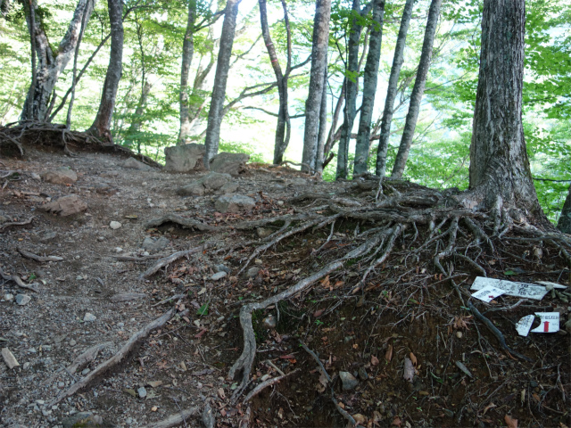 農鳥岳（奈良田～大門沢～西農鳥岳）登山口コースガイド 峠【登山口ナビ】