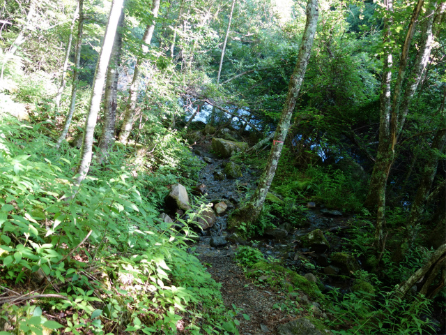 農鳥岳（奈良田～大門沢～西農鳥岳）登山口コースガイド 沢沿い【登山口ナビ】