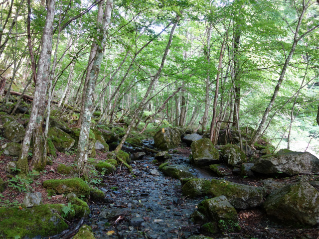 農鳥岳（奈良田～大門沢～西農鳥岳）登山口コースガイド 岩【登山口ナビ】