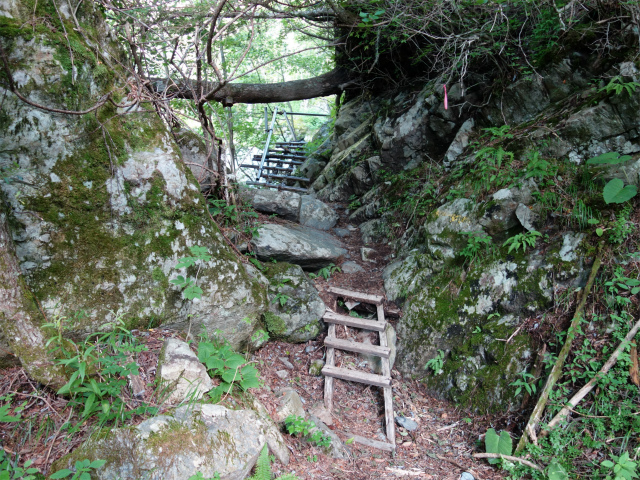 農鳥岳（奈良田～大門沢～西農鳥岳）登山口コースガイド 階段と桟道【登山口ナビ】