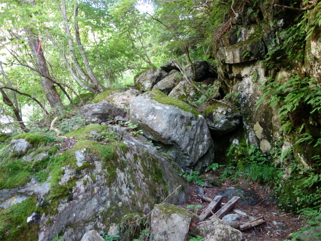 農鳥岳（奈良田～大門沢～西農鳥岳）登山口コースガイド 左岸【登山口ナビ】