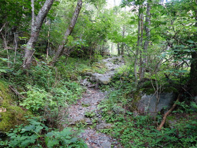 農鳥岳（奈良田～大門沢～西農鳥岳）登山口コースガイド【登山口ナビ】