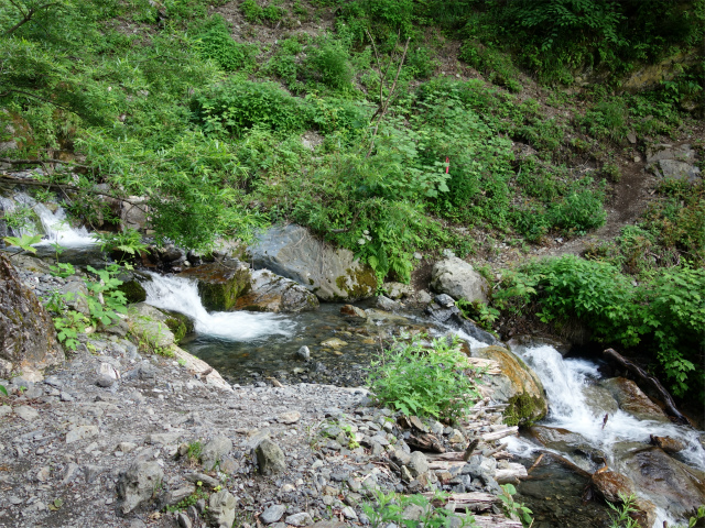 農鳥岳（奈良田～大門沢～西農鳥岳）登山口コースガイド 支沢【登山口ナビ】