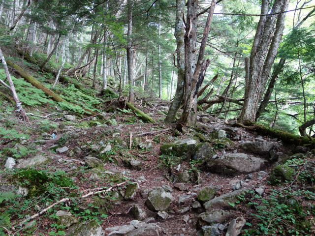 農鳥岳（奈良田～大門沢～西農鳥岳）登山口コースガイド 急登【登山口ナビ】