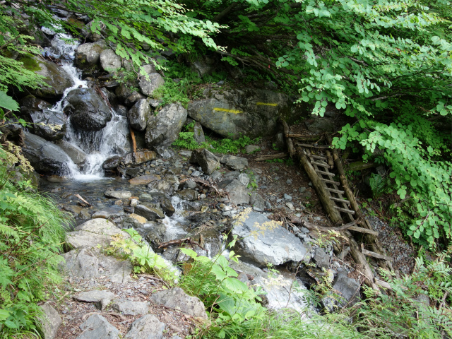 農鳥岳（奈良田～大門沢～西農鳥岳）登山口コースガイド 南沢の渡渉【登山口ナビ】