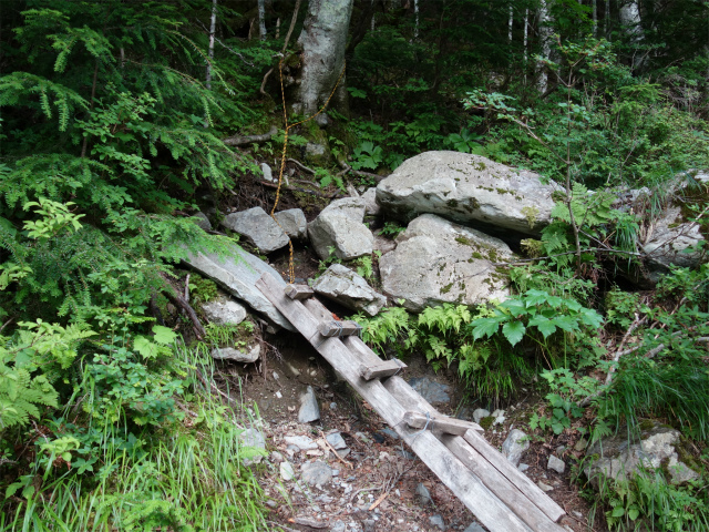 農鳥岳（奈良田～大門沢～西農鳥岳）登山口コースガイド 階段【登山口ナビ】