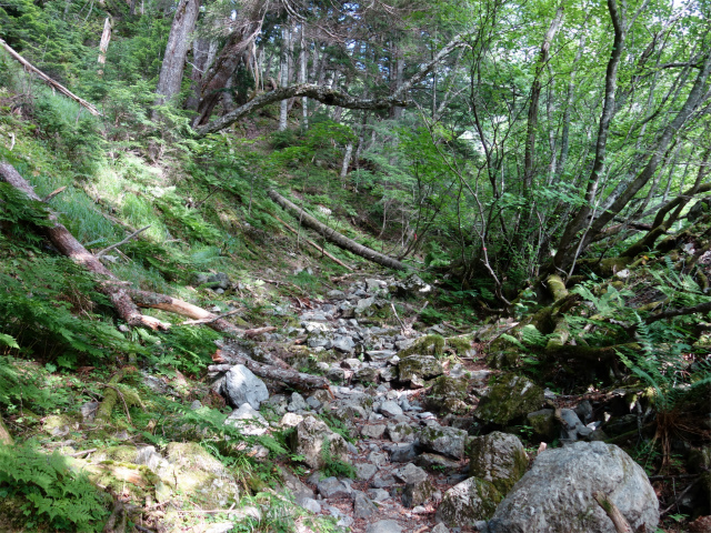 農鳥岳（奈良田～大門沢～西農鳥岳）登山口コースガイド 岩の転がる急斜面【登山口ナビ】