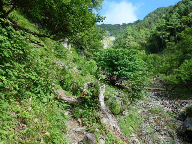 農鳥岳（奈良田～大門沢～西農鳥岳）登山口コースガイド ガレ沢の横断【登山口ナビ】