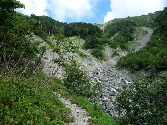 農鳥岳（奈良田～大門沢～西農鳥岳）登山口コースガイド 大門沢の上流【登山口ナビ】