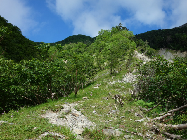 農鳥岳（奈良田～大門沢～西農鳥岳）登山口コースガイド ガレの上端【登山口ナビ】