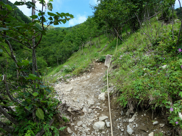 農鳥岳（奈良田～大門沢～西農鳥岳）登山口コースガイド ロープの脆い斜面【登山口ナビ】