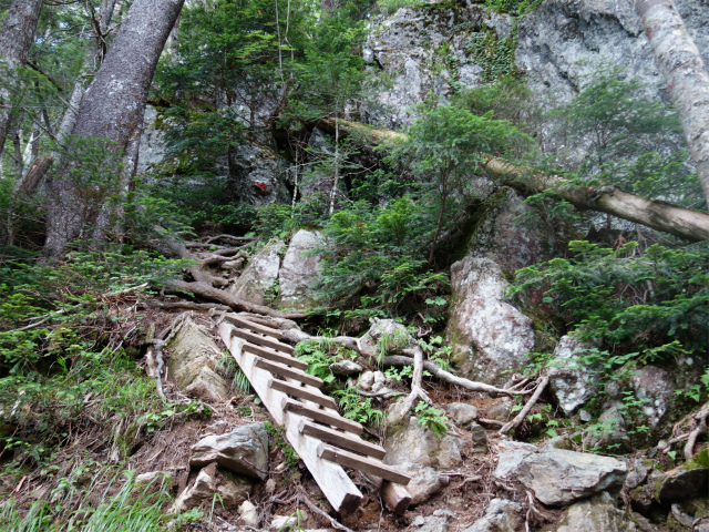 農鳥岳（奈良田～大門沢～西農鳥岳）登山口コースガイド 階段【登山口ナビ】