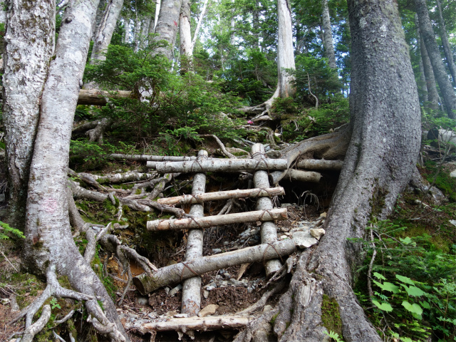 農鳥岳（奈良田～大門沢～西農鳥岳）登山口コースガイド 梯子【登山口ナビ】