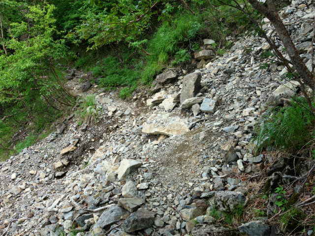 農鳥岳（奈良田～大門沢～西農鳥岳）登山口コースガイド ザレの横断【登山口ナビ】