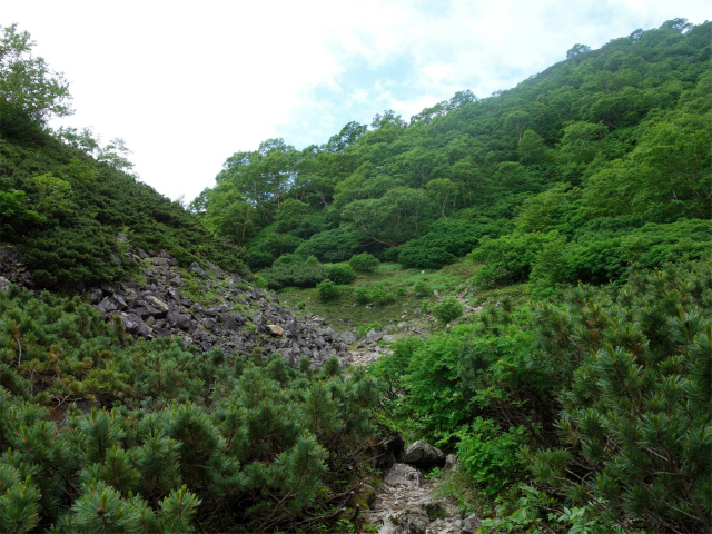 農鳥岳（奈良田～大門沢～西農鳥岳）登山口コースガイド コル【登山口ナビ】