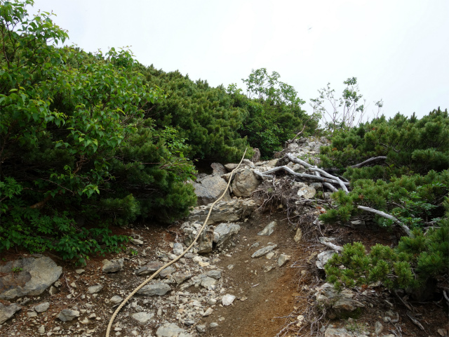 農鳥岳（奈良田～大門沢～西農鳥岳）登山口コースガイド ロープ【登山口ナビ】