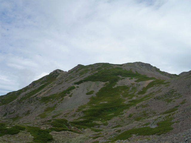 農鳥岳（奈良田～大門沢～西農鳥岳）登山口コースガイド 2946m峰【登山口ナビ】