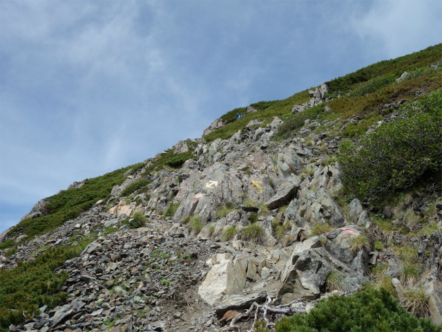 農鳥岳（奈良田～大門沢～西農鳥岳）登山口コースガイド【登山口ナビ】