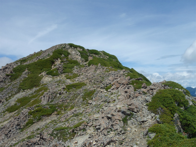 農鳥岳（奈良田～大門沢～西農鳥岳）登山口コースガイド 稜線【登山口ナビ】