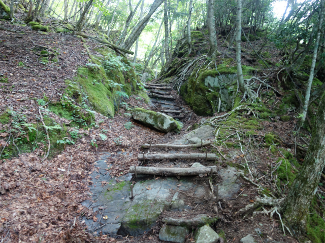 農鳥岳（奈良田～大門沢～西農鳥岳）登山口コースガイド ゴルジュ上部の階段【登山口ナビ】