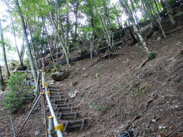 農鳥岳（奈良田～大門沢～西農鳥岳）登山口コースガイド 迂回路の階段【登山口ナビ】