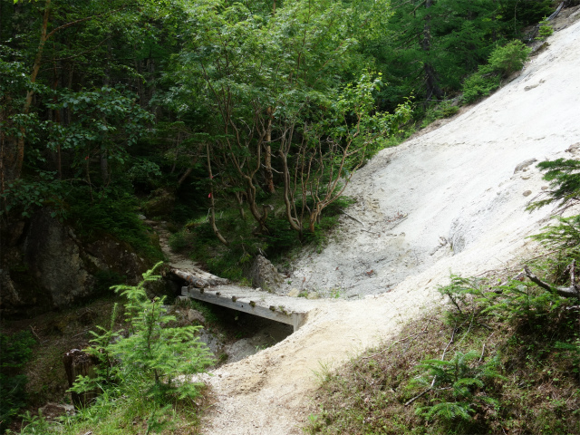 鳳凰三山（御座石鉱泉～燕頭山コース）登山口コースガイド 木橋【登山口ナビ】