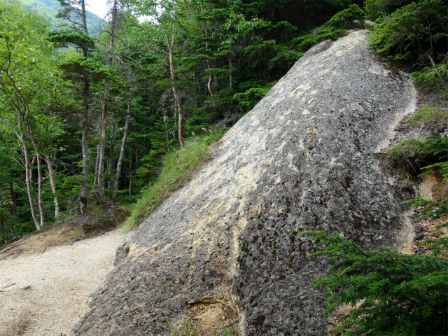 鳳凰三山（御座石鉱泉～燕頭山コース）登山口コースガイド 富士見台【登山口ナビ】