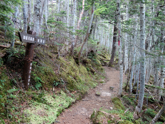 鳳凰三山（御座石鉱泉～燕頭山コース）登山口コースガイド 尾根筋の指導標【登山口ナビ】