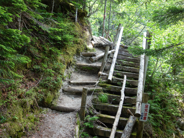 鳳凰三山（御座石鉱泉～燕頭山コース）登山口コースガイド 階段【登山口ナビ】