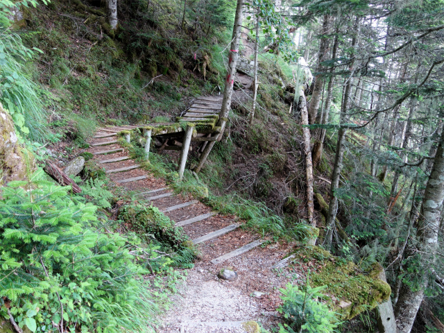 鳳凰三山（御座石鉱泉～燕頭山コース）登山口コースガイド 桟道【登山口ナビ】