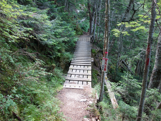 鳳凰三山（御座石鉱泉～燕頭山コース）登山口コースガイド 木橋【登山口ナビ】