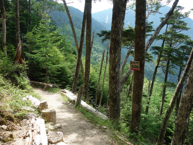 鳳凰三山（御座石鉱泉～燕頭山コース）登山口コースガイド 北アルプス展望地【登山口ナビ】