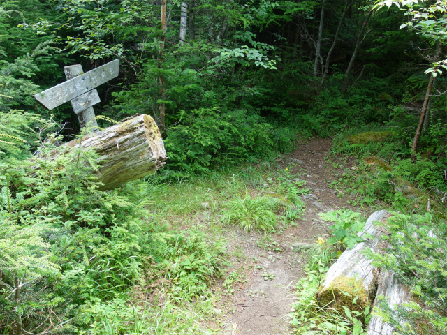 鳳凰三山（御座石鉱泉～燕頭山コース）登山口コースガイド 環境庁の指導標【登山口ナビ】