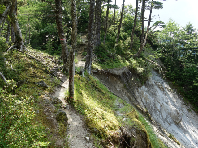 鳳凰三山（御座石鉱泉～燕頭山コース）登山口コースガイド 鞍部の脆い斜面【登山口ナビ】