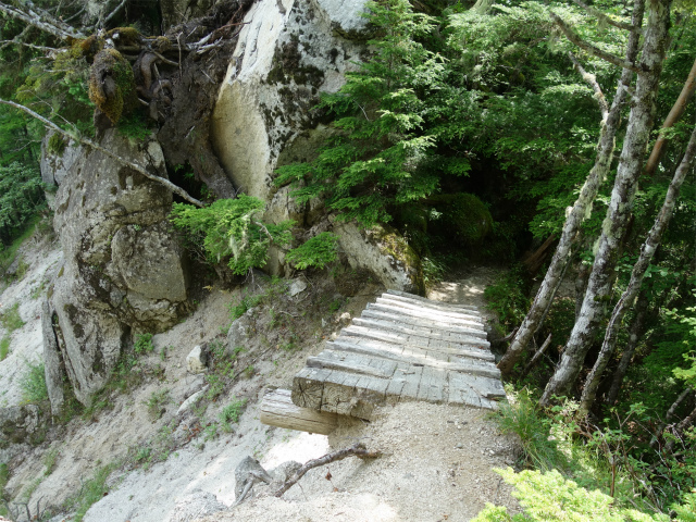 鳳凰三山（御座石鉱泉～燕頭山コース）登山口コースガイド 鞍部の木橋【登山口ナビ】