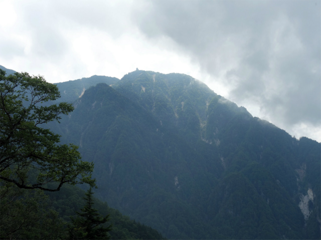 鳳凰三山（御座石鉱泉～燕頭山コース）登山口コースガイド 燕頭山付近からの地蔵岳オベリスク【登山口ナビ】