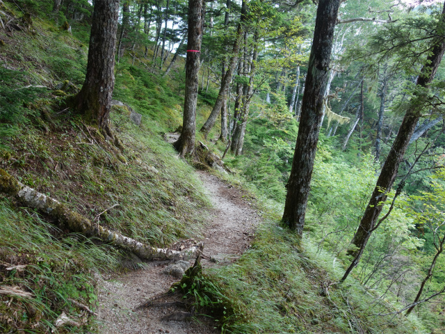 鳳凰三山（御座石鉱泉～燕頭山コース）登山口コースガイド【登山口ナビ】