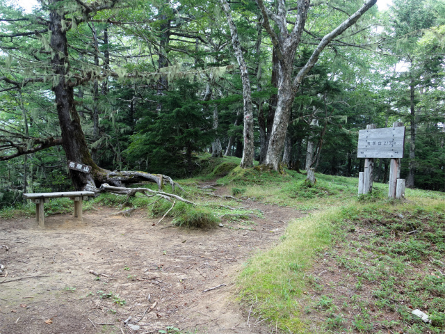 鳳凰三山（御座石鉱泉～燕頭山コース）登山口コースガイド 燕頭山山頂【登山口ナビ】