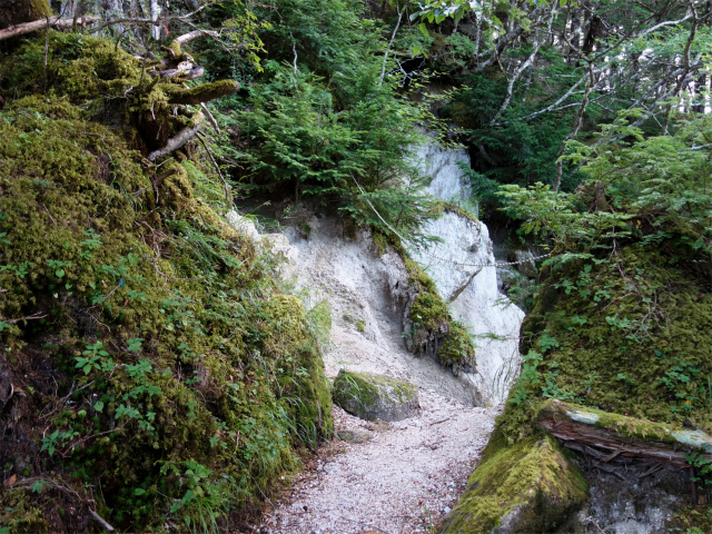 鳳凰三山（御座石鉱泉～燕頭山コース）登山口コースガイド 急登【登山口ナビ】