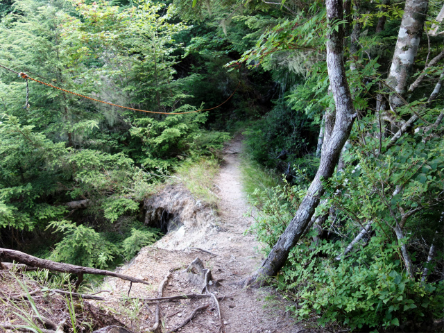 鳳凰三山（御座石鉱泉～燕頭山コース）登山口コースガイド 崩落斜面【登山口ナビ】