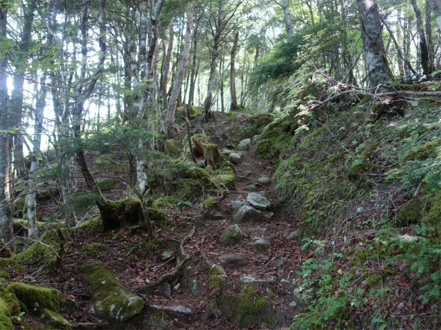 鳳凰三山（御座石鉱泉～燕頭山コース）登山口コースガイド 急斜面【登山口ナビ】