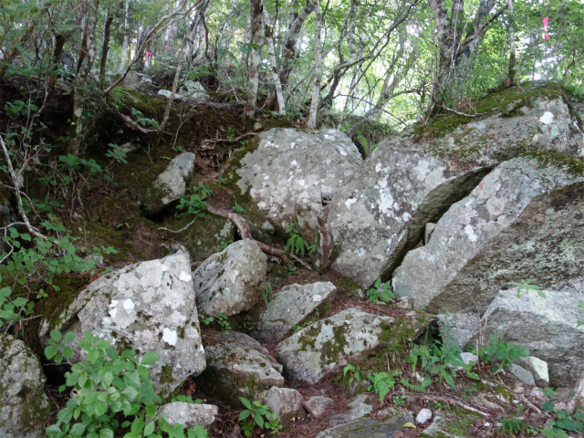 鳳凰三山（御座石鉱泉～燕頭山コース）登山口コースガイド 大きな岩【登山口ナビ】