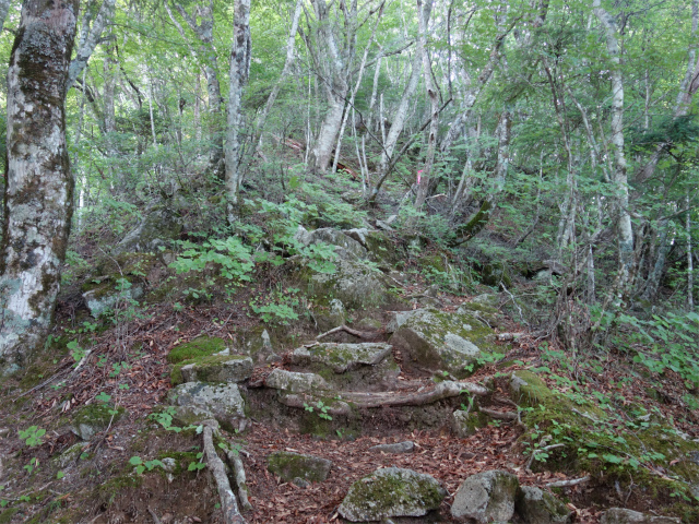 鳳凰三山（御座石鉱泉～燕頭山コース）登山口コースガイド 急登【登山口ナビ】