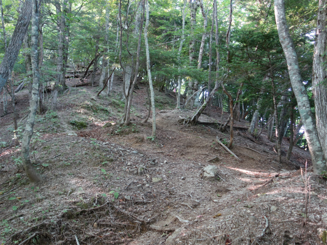 鳳凰三山（御座石鉱泉～燕頭山コース）登山口コースガイド 急登【登山口ナビ】